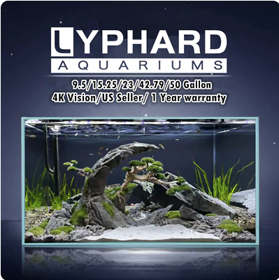 #ad LYPHARD AQUARIUMS Aquarium Fish Tank 9.5 50Gallon Ultra Clear Rimless Low Iron $269.99