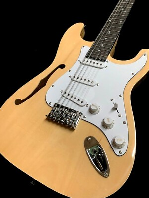 #ad NEW STRAT STYLE 12 STRING SEMI HOLLOW THINLINE NATURAL FINISH ELECTRIC GUITAR $169.99