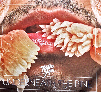 #ad Toro Y Moi Underneath The Pine CD VG AU $13.00