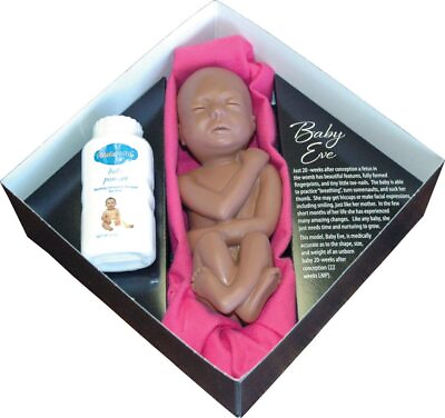 #ad Touch of Life Baby Eve Brown Pro Life Fetal Model $109.00