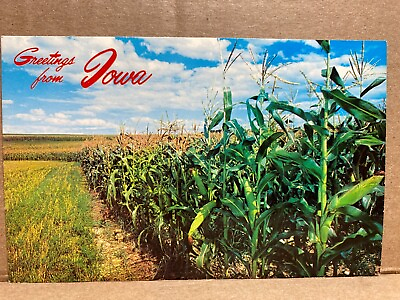 #ad Greetings from Iowa Corn Field Chrome Postcard 200 $4.80