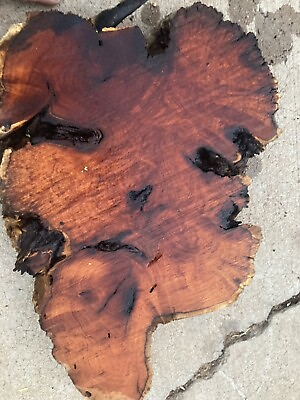 #ad Mesquite burl wood slab live edge. Rough saw cut. $199.00