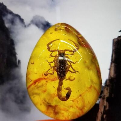 Insect Stone Scorpions Inclusion Amber Resin Baltic Pendant Decoration S9C0 $3.35