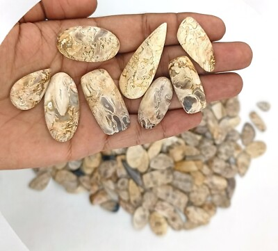 #ad Handmade Natural Root Plume Agate Loose Gemstones Handmade Stone Wholesale 71642 $15.11