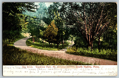 #ad South Hadley Massachusett Drive Goodnow Park Mt. Holyoke Vintage Postcard $6.79