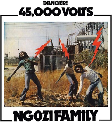 #ad Ngozi Family 45000 Volts Vinyl 12quot; Album $33.55