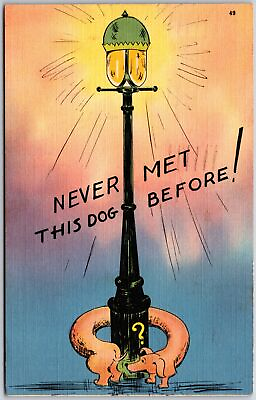 #ad 1940#x27;s Dog Turning Around Post Light quot;Never Met This Dog Beforequot; Comic Postcard $7.99