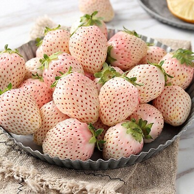 #ad 100White Strawberry Seeds Pineberry Hula berry Alpine berry Container GardenUSA $2.67