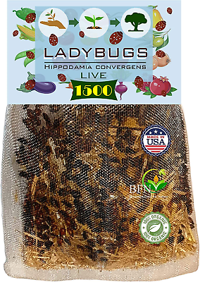#ad 1500 Live Ladybugs for Garden Good Bugs Guaranteed Live Delivery $28.99