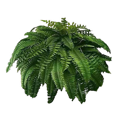 #ad UV Resistant Lifelike Artificial Boston Fern Ferns for Outdoors Faux Fake Plants $9.59