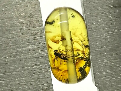 #ad #ad AMBER With Insect Barrel Bead DRILLED For Prayer Bracelet Necklace Baltic 13741 $28.38