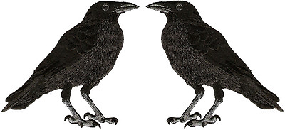 #ad Raven American Black Crow Embroidered Iron On Patches SET OF 2 $11.98