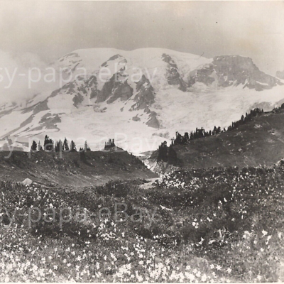 #ad 1950s Mt Rainier Peak National Park Washington Charles Phelps Cushing Photo $57.50