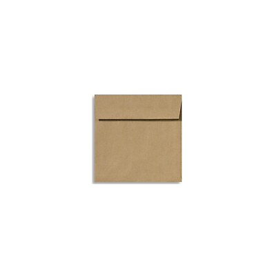 #ad LUX 6 1 2 x 6 1 2 Square Envelopes 2 11 16 x 3 11 16 Grocery Bag 8535 GB 50 $22.76