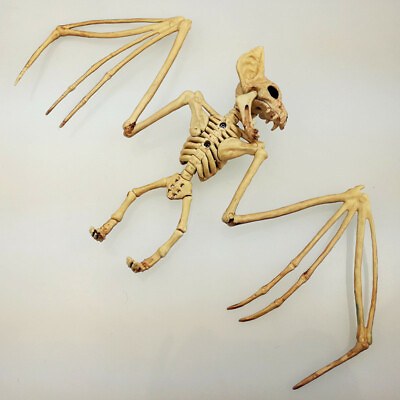 #ad Halloween Animals Bat Skeleton Bones Simulation Horror Prop Party Creepy Decor $8.99