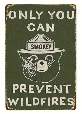 #ad Only You Can Prevent Wildfires Novelty metal sign 12 x 8 Smokey The Bear $8.89