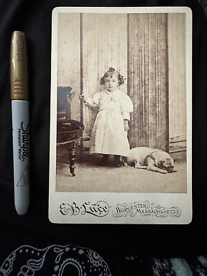 #ad CDV PHOTO OF GIRL WITH PUG PUPPY $20.00