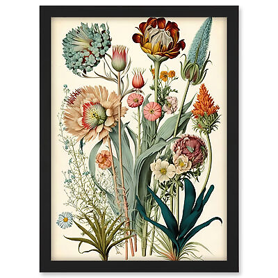 #ad Haeckel Inspired Vintage Botanical Plant Study Framed Wall Art Picture Print A3 GBP 26.99