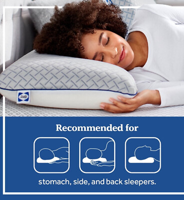 #ad Sealy Cool Touch Memory Foam Bed Pillow Standard 2 Pack. $59.99