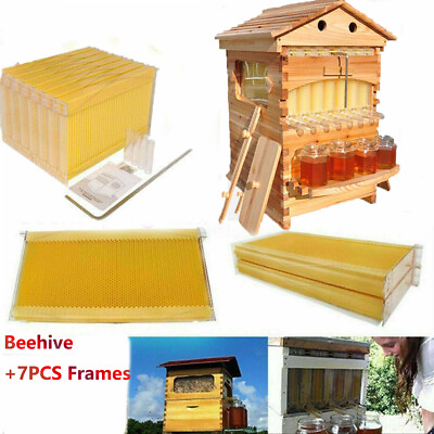 #ad 2024 NEW Wooden Beekeeping Beehive House Box 7PCS Auto Honey Bee Comb Hive Frame $197.69