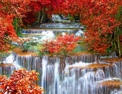 #ad 7x5ft Autumn Landscape Maple Forest Waterfall Vinyl Backdrop Photo Background LB $20.53
