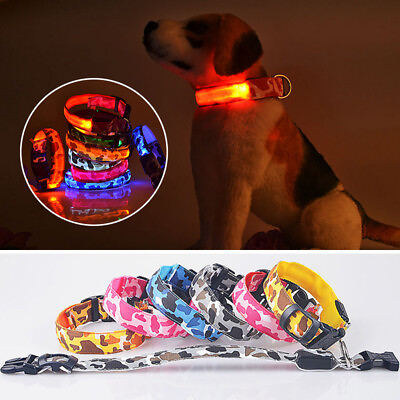 #ad USB RECHARGEABLE LED CAMO COLLAR Camouflage Pet Dog Glow Flashing Light Safety C C $6.96