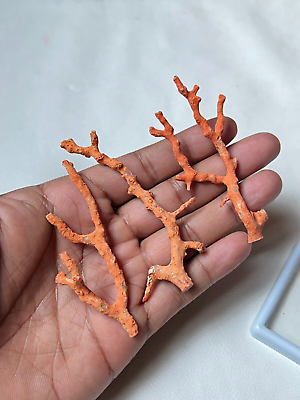 #ad Natural Red coral branch For personalized jewelry And earrings Making Branches $125.09