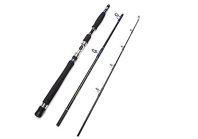 #ad The 3 Piece Spinning Rod is designed for heavy saltwater fishing with a line $57.58