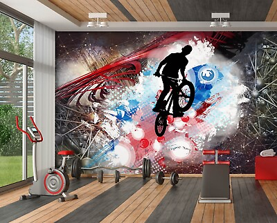 #ad 3D Cycling Painting ZHUA1267 Wallpaper Wall Murals Removable Self adhesive Amy AU $19.99