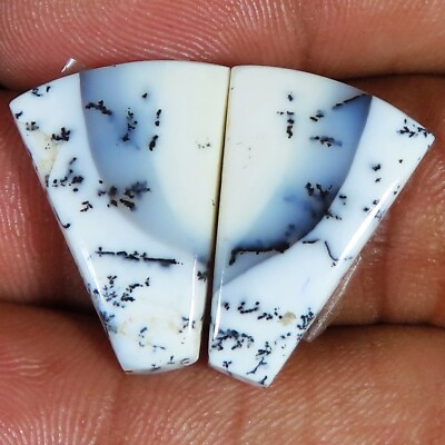 #ad 18.00Cts. Dendrite Opal Pair CabochonLoose Dendrite Gemstone For Jewelry Making $7.49