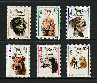 #ad H551 Poland 1989 dogs 6v. MNH $1.99
