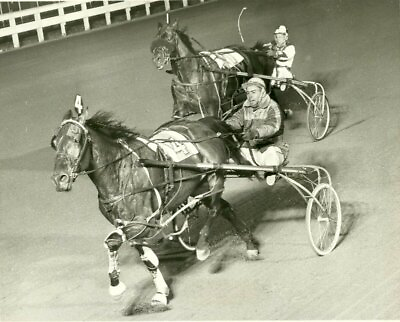 #ad YONKERS RACEWAY Harness Horse Race CARDIGAN BAY winner 1966 OLD PHOTO AU $9.00