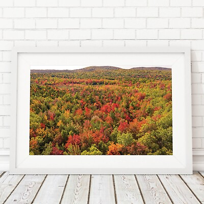 #ad Fall Colors in Maine Wall Art Print Fall Foliage Mountains Aerial View Acadia $265.00