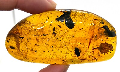 #ad #ad Large 34 gram amber with fossil flower and leaves Dominican Republic $200.00