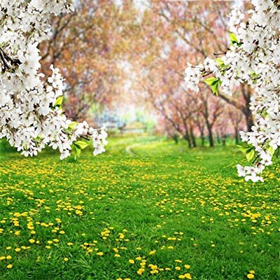 #ad 7x7ft Spring Scenic Backdrop Sweet Flowers Photography Background Meadow Flor... $37.29