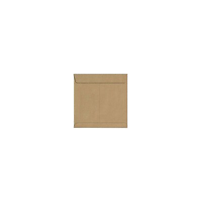 #ad LUX 8 x 8 Square Envelopes 2 11 16 x 3 11 16 Grocery Bag 8565 GB 50 $28.91