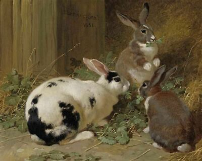 #ad Oil painting lovely and cute animals three rabbits eating grass handmade canvas $72.19