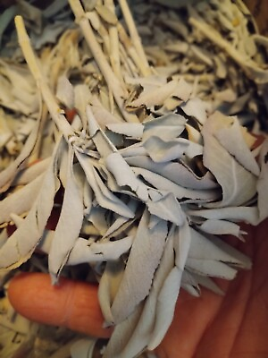 #ad **AWESOME NATIVE AMERICAN WHITE SAGE FOR SMUDGING ONE QUART STARTER PACK ** $9.99