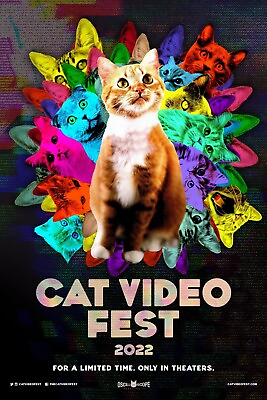 #ad CAT VIDEO FEST 2022 13x19 GLOSSY PHOTO MOVIE POSTER $12.00