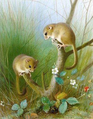 #ad Huge work Oil painting lovely and cute animals Two mice Hand painted $69.29