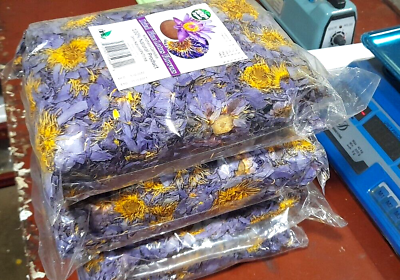 BLUE LOTUS Nymphaea Caerulea Dried Flower 100%Natural Organic ceylon $111.78