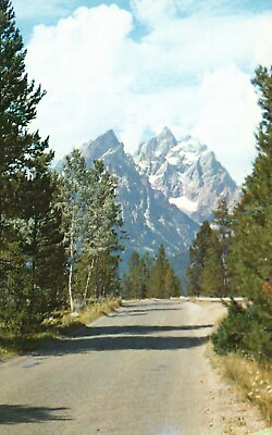 #ad Postcard WY Grand Teton National Park Park Road to Jenny Lake Vintage PC G5792 $2.00