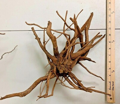 #ad Large Spider Wood Drift Wood Natural Aquascape Hard scape Aquarium Drift Wood ✅ $27.88