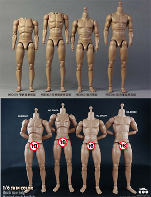 #ad COOMODEL 1 6 Male Flexible Body 12quot; Model Fit Hot Toys Action Figure Head Toys $27.59