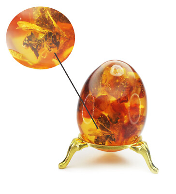 EGG Baltic Amber with Fossil Insect Bee $24.00