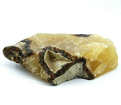 #ad 502 Ct Natural Septarian Dragon Stone Crystal Reiki Specimen Loose Rough $16.99