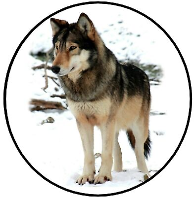 #ad Wolf On Snow 15quot; 16quot; 17quot; Custom Made Your Size Soft Spare Wheel Tyre Cover $30.08