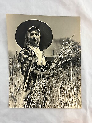 #ad Vintage Original Japanese Woman Working in Field 1940#x27;s 1950#x27;s RARE $224.99