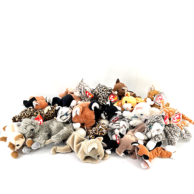 #ad Ty Beanie Babies All Cats 21 Piece Lot Large Regular Small Sizes Tabby Leopard $60.00