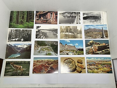 #ad Lot of 57 Vintage Postcards Yosemite Tahoe Parks Western US Various Sizes Styles $9.99